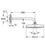 Душ верхний GROHE Tempesta d210 с кронштейном 286 мм с ограничителем расхода воды 26411000