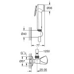 Лейка гигиеническая GROHE Tempesta-F 27512001 с держателем вентилем и шлангом Silverflex 1250 мм 27514001