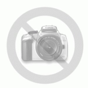 Отвод 90°  DN 60/100 в комплекте с соединительным хомутом 303808