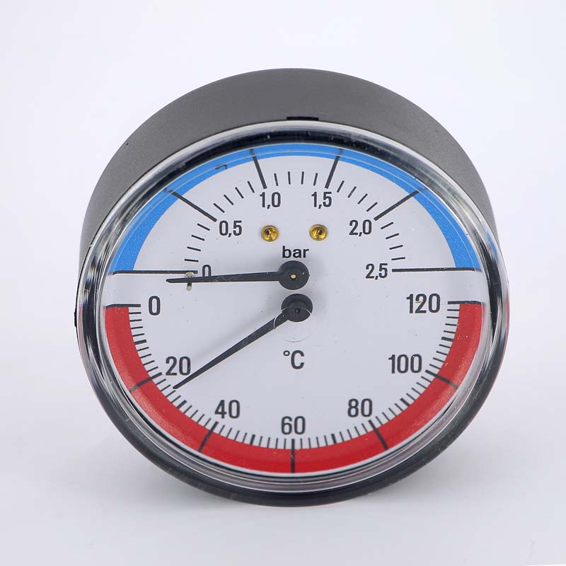 Термоманометр аксиальный Watts F+R 818 1/2" 120C 2,5 бар - купить ...