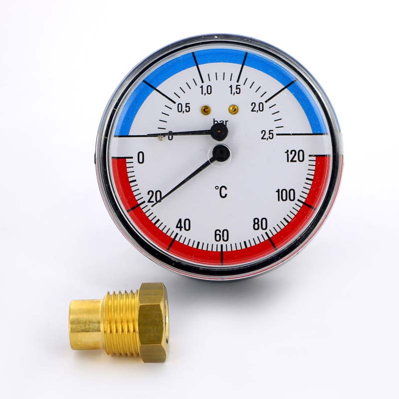 Термоманометр аксиальный Watts F+R 818 1/2" 120C 2,5 бар - купить ...