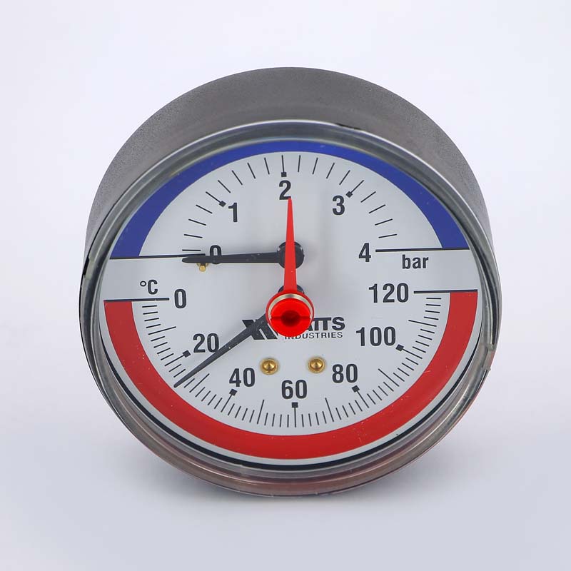 Термоманометр аксиальный Watts F+R 818 1/2" 120C 4 бар - купить ...